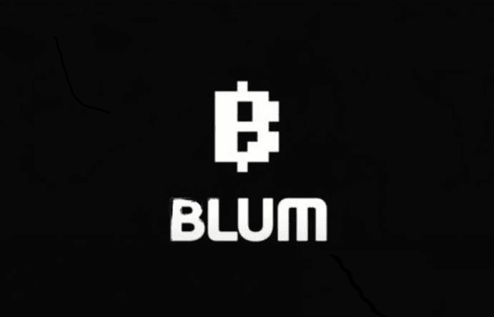 Top 10 Kèo Airdrop Uy Tín Nhất 2024 Để Gia Tăng Tài Sản Crypto - Blum