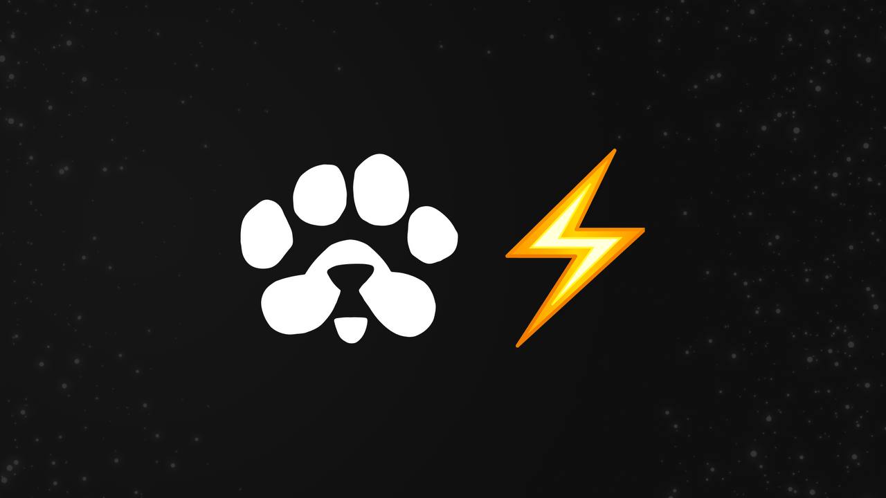 10 Bước Hướng Dẫn Tham Gia Airdrop PAWS Nhận Tiền Miễn Phí Ngay Hôm Nay